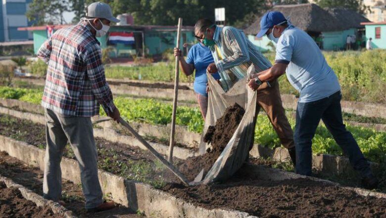 Primero de Mayo en Cuba: Inundar las redes con el aporte de cada espirituano