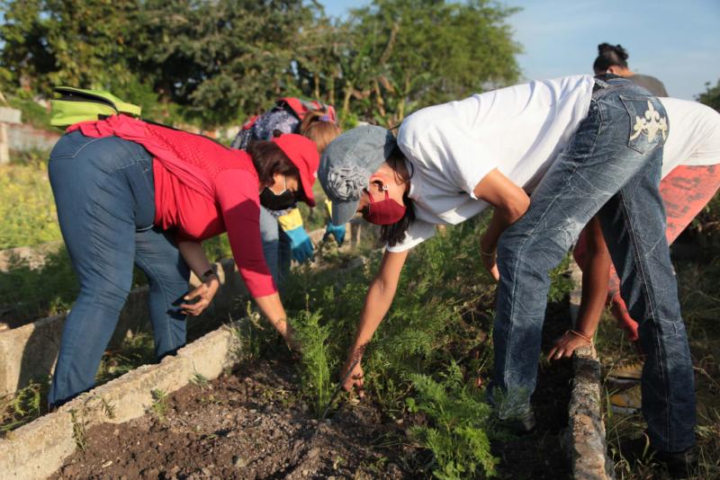 En todos los municipios de la provincia se desarrollan jornadas de trabajo voluntario en saludo a la fecha.