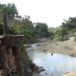 Se planta la sequía en toda la geografía de Cabaiguán