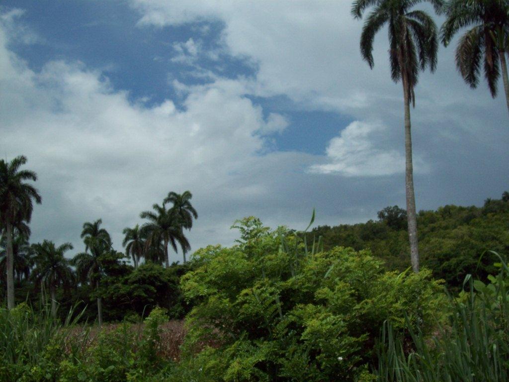 paisaje de cabaiguán en primavera