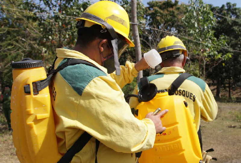  Cuerpo de Guardabosques encargado de controlar los incendios