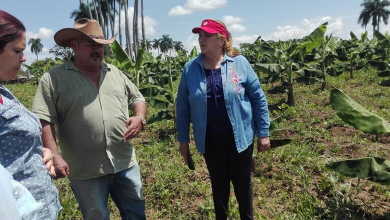 Recibe sector agropecuario de Cabaiguán visita encabezada por dirigentes del PCC espirituano (+ Audio y Fotos)