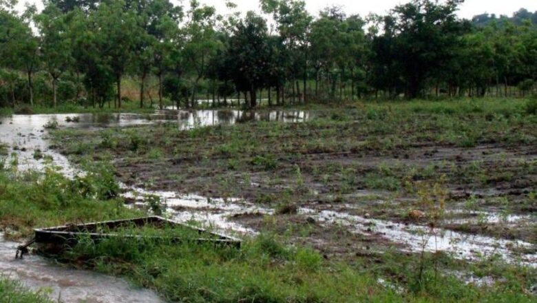 Reporta Cabaiguán afectaciones parciales en la Agricultura a causa de las lluvias (Tomado de Escambray)