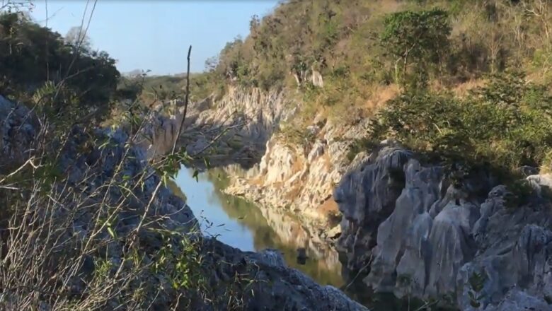 Se abre Sierra de Las Damas al turismo ecológico (+ Video)