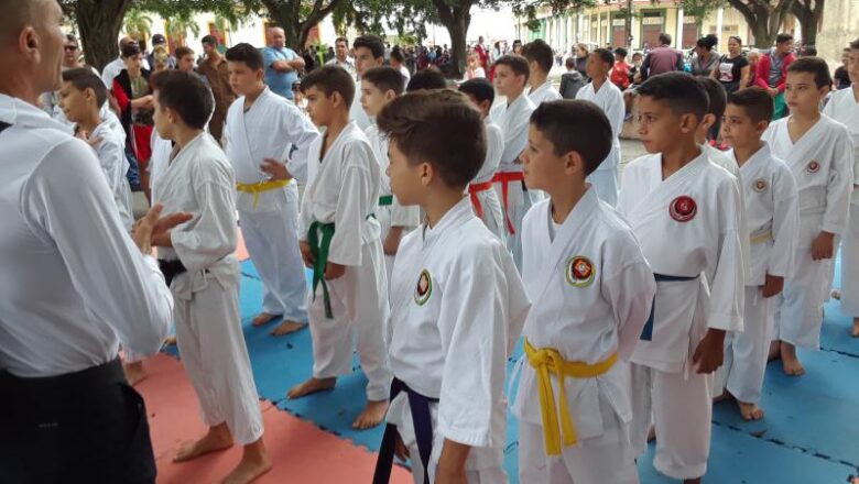 Destacado resultado  del Dojo Sichiyama de Cabaiguán en competencia virtual internacional