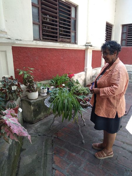 Exposicion de plantas ornamentales