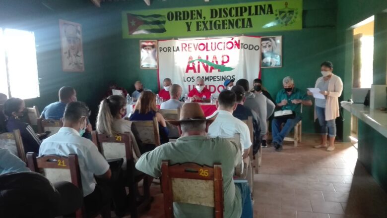 63 medidas oxigenan agricultura cabaiguanense (+ Audio y Fotos)