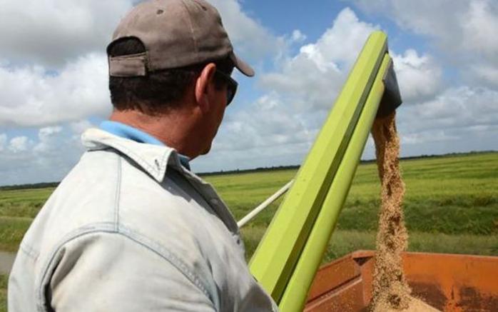 Productores espirituanos se beneficiarán con la Banca de Fomento Agrícola