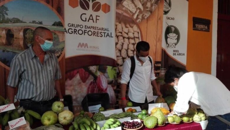 En Trinidad Feria entre potenciales proveedores de alimentos