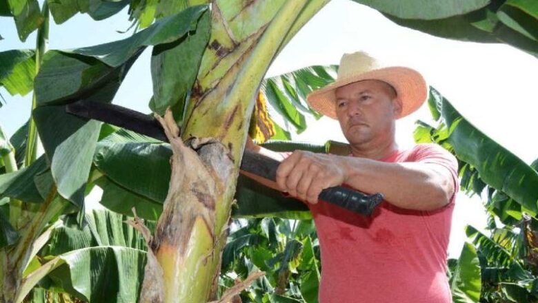 Al núcleo del Partido de mi cooperativa nada le es ajeno