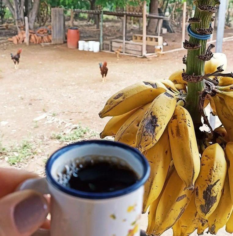 foto de doy detalles del campo