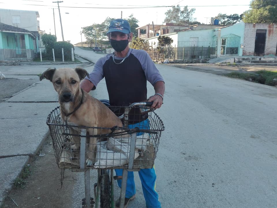 foto de hoy raul perro