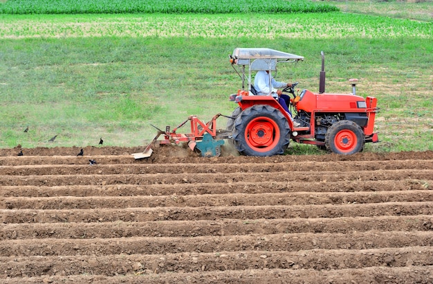 Agricultores de Cabaiguán comienzan campaña de frío (+ Video)