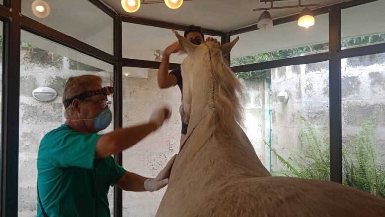 Reparan Museo de Camilo en Yaguajay