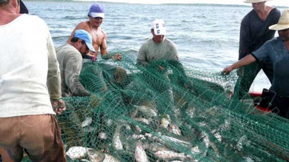 De la Policía de la Pesca colonial a la actual Comisión Consultiva de Pesca
