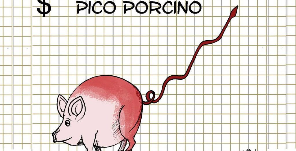 pico porcino2 1024x525 1