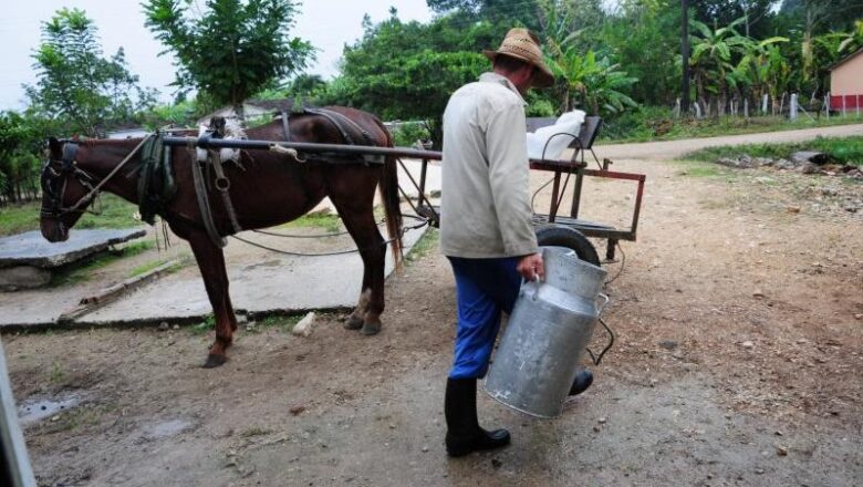 Campesinos en Sancti Spíritus aportan alimentos a los centros destinados a enfrentar la pandemia