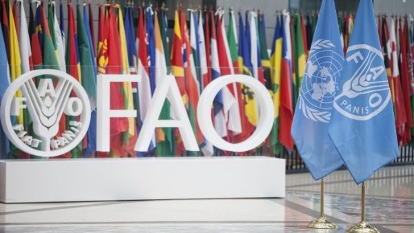 Finaliza Conferencia 42 de la FAO con Agenda 2030