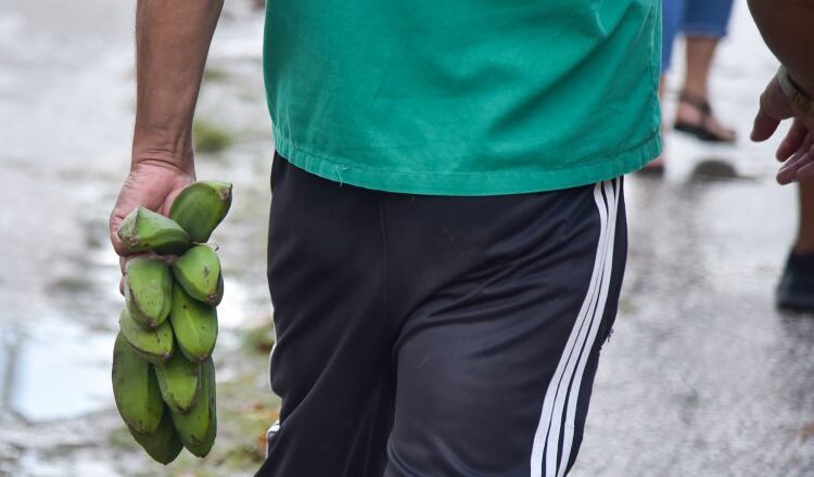 Comercialización de productos agrícolas en Cabaiguán: asignatura pendiente y suspensa hasta el momento