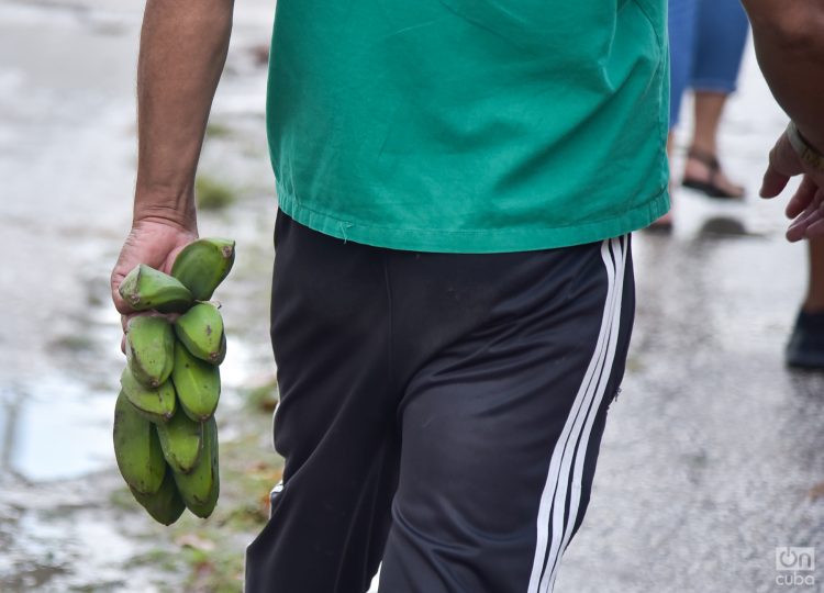 Comercialización