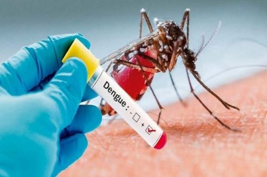 El dengue golpea a Cabaiguán (+ Audio)