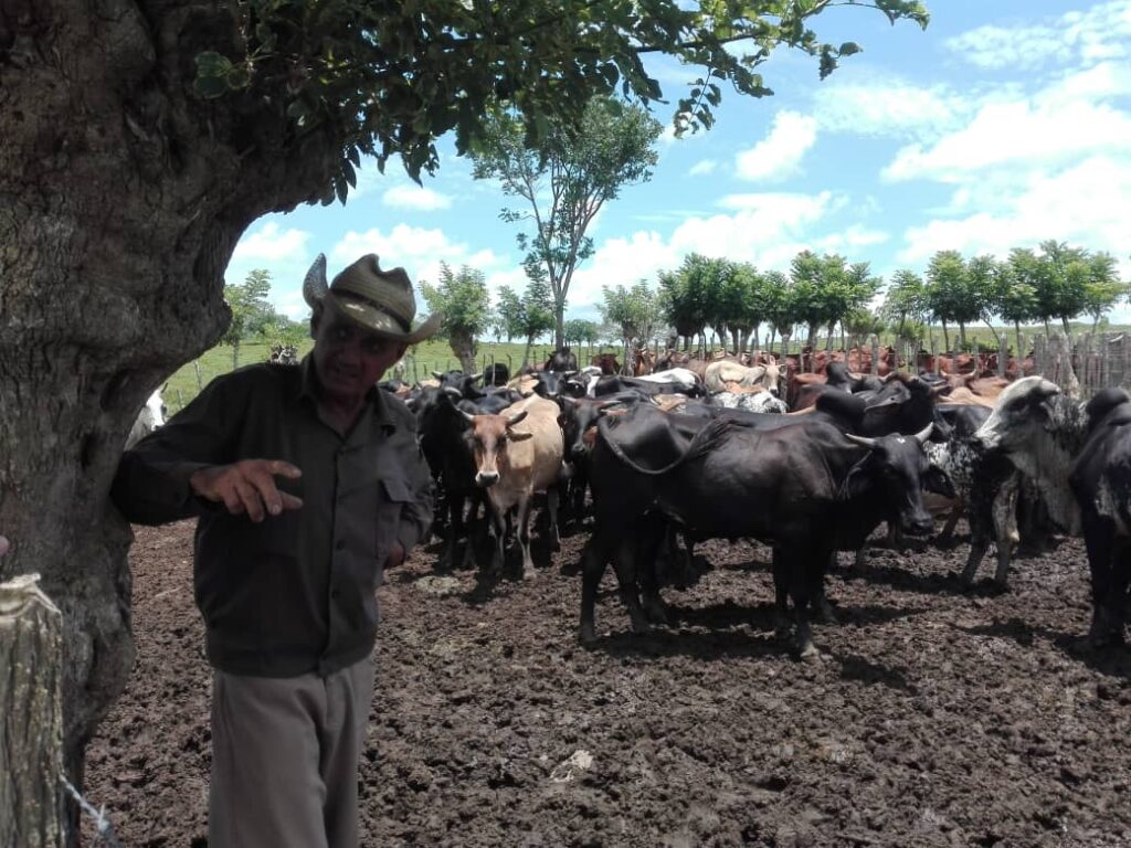 ganaderia cabaiguan 11