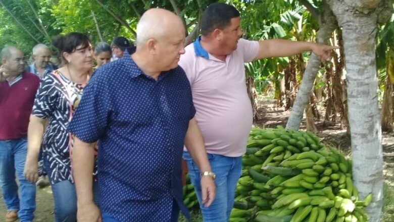 Tapia Fonseca: Tenemos que virarnos para el campo y atender más a los productores