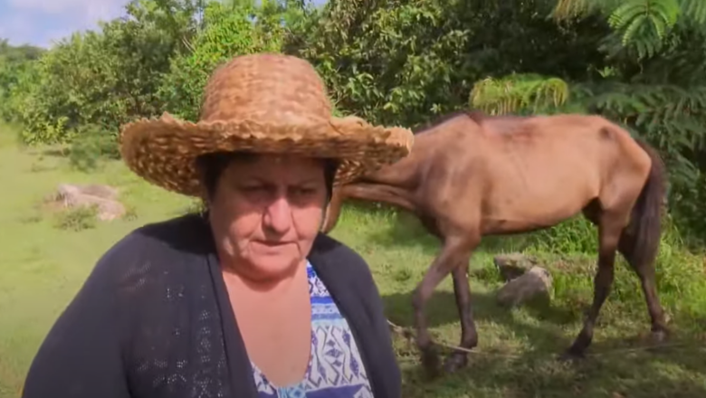 Destaca mujer campesina de Cabaiguán por sus positivos resultados en la producción agropecuaria (+ Video)