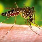 Intensifican en Cabaiguán enfrentamiento al mosquito Aedes Aegypti