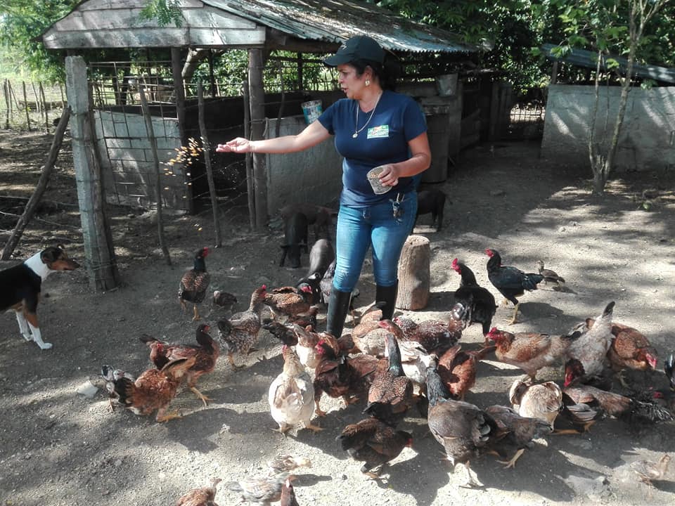 5 mujer rural aves 5