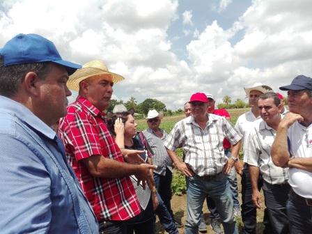 Intercambia máxima dirección de la agricultura en Cuba con campesinos cabaiguanenses (+Audio y Fotos)