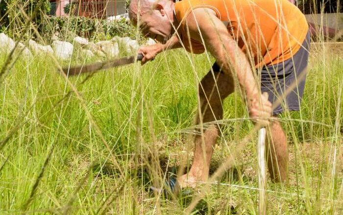 Analizan en Cuba situación del dengue: Defendamos la vida entre todos