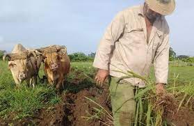 Paraíso en manos de Yoel Abreu y Marisol Álvarez