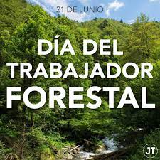 Día del Trabajador Forestal