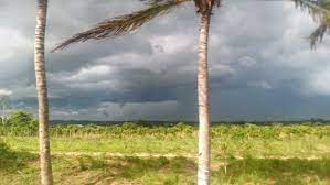 Ni tornado, ni tormenta local severa en Tres Palmas