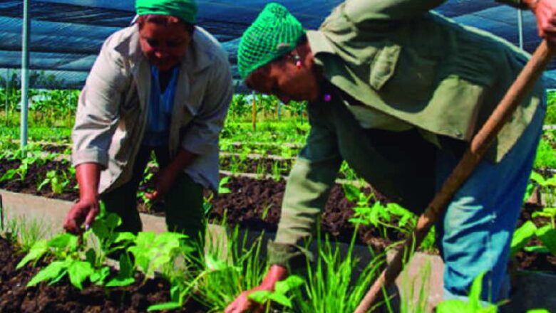 Una federación que late en las comunidades