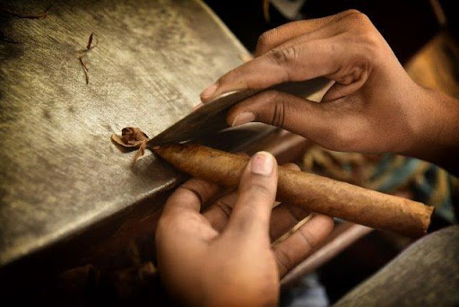 Torcer  habanos con ramas de identidad