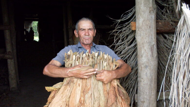 El amarre del tabaco