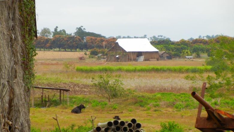 La historia rural en una foto de Cabaiguán