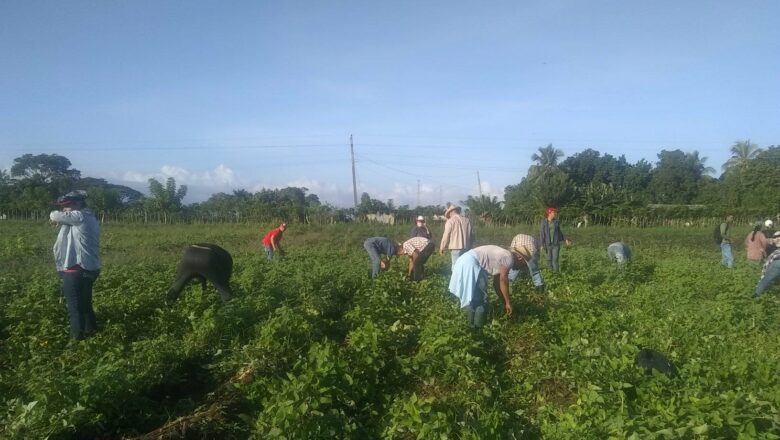 Cabaiguán se movilizó este domingo en jornada de trabajo voluntario