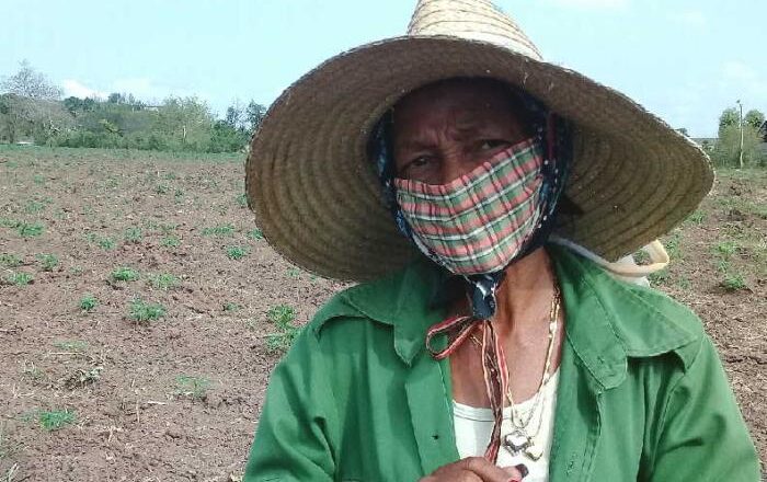 Convoca Consejo de Defensa Municipal a los campesinos a potenciar la producción de alimentos