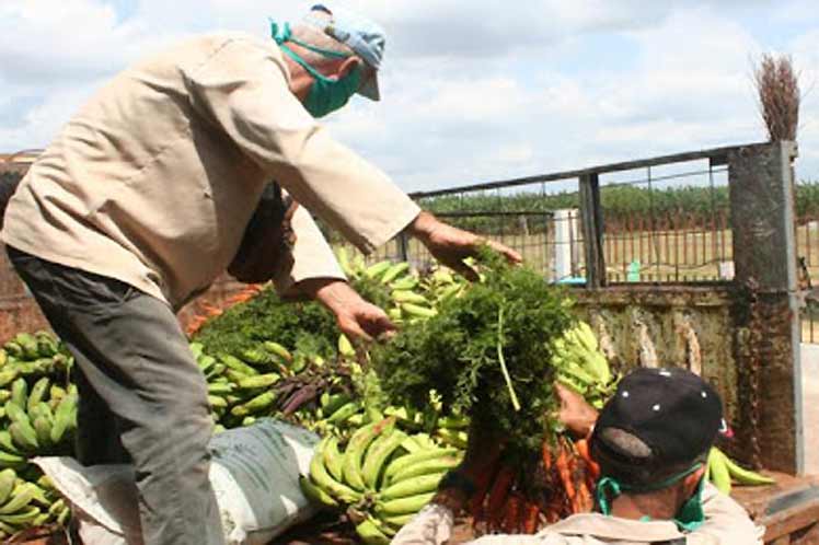 alimentos