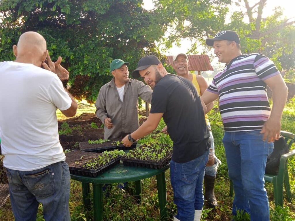 estacion tabaco 5