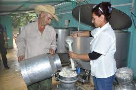 Esclarecen  situación de la leche con destino a las dietas médicas en Cabaiguán (+ Audio)