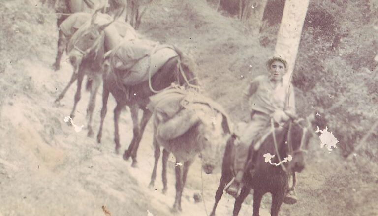 Chepe, el arriero de Santa Lucía