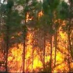 Cabaiguán eleva la prevención contra incendios forestales
