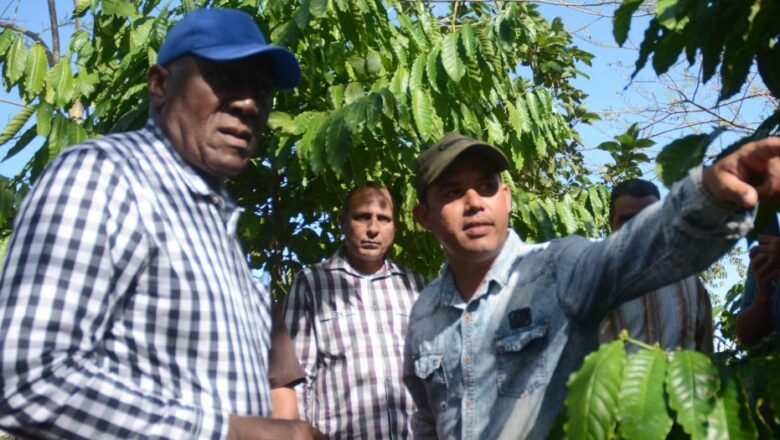 Valdés Mesa: producir los alimentos en los municipios