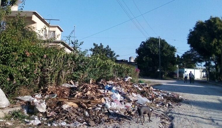 La basura ataca al Jobo