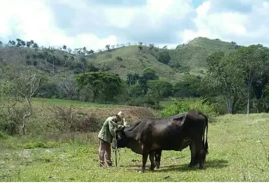 Jíquima, más allá de una foto