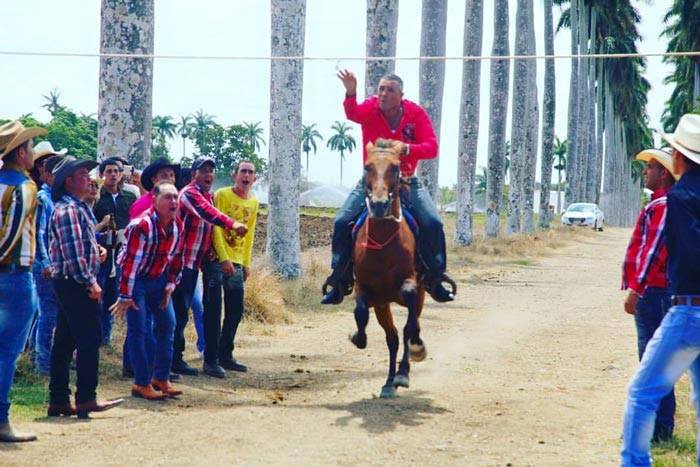 foto de hoy torneo caballo